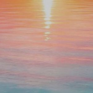 Meet your Posher, Jaylene